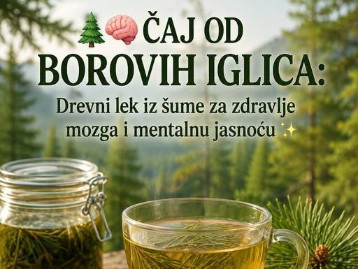 Čaj od borovih iglica: Tradicionalni biljni napitak za mentalnu jasnoću i blagostanje