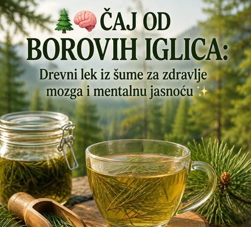 Čaj od borovih iglica: Tradicionalni biljni napitak za mentalnu jasnoću i blagostanje