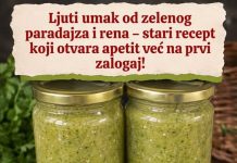 Ljuti umak od zelenog paradajza i rena – stari recept koji otvara apetit već na prvi zalogaj!