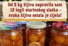 Od 5 kg šljiva napravila sam 12 tegli starinskog slatka – svaka šljiva ostala je cijela!