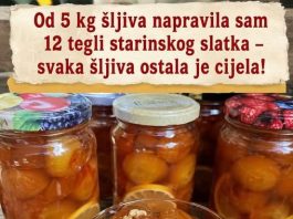 Od 5 kg šljiva napravila sam 12 tegli starinskog slatka – svaka šljiva ostala je cijela!