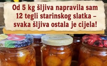 Od 5 kg šljiva napravila sam 12 tegli starinskog slatka – svaka šljiva ostala je cijela!