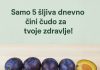 Da li ste znali koliko je zdravo pojesti samo 5 šljiva dnevno?