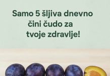 Da li ste znali koliko je zdravo pojesti samo 5 šljiva dnevno?