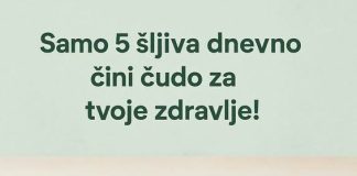 Da li ste znali koliko je zdravo pojesti samo 5 šljiva dnevno?