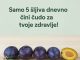 Da li ste znali koliko je zdravo pojesti samo 5 šljiva dnevno?