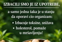 Izbacili smo je iz upotrebe, a nekada je bila osnovna namirnica