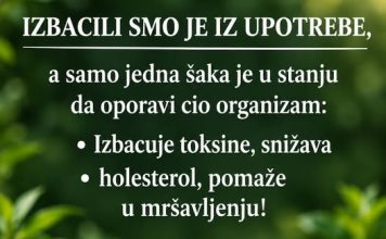 Izbacili smo je iz upotrebe, a nekada je bila osnovna namirnica