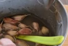OVO JE NAJBOLJI način dezinfekcije bijelog luka prije jesenje sadnje
