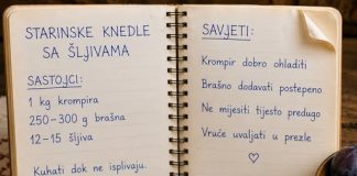STARINSKE KNEDLE SA ŠLJIVAMA