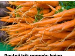 POSTOJI trik POMOĆU kojeg šargarepa može Ostati svježa i do 6 mjeseci: POTREBNO JE DA URADITE SAMO OVO