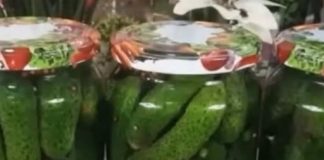 Pikantni kiseli krastavčići na bugarski način: Spremaju se baš brzo, a 1 sastojak im daje poseban šmek