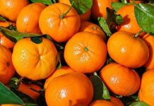 Čuvajte svoje zdravlje: EVO ZAŠTO TREBATE JESTI MANDARINE – Ovo je samo nekoliko dobrih razloga
