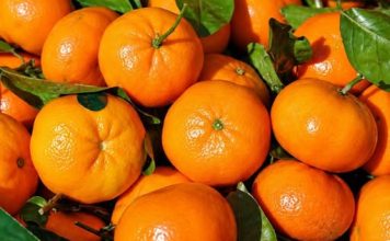 Čuvajte svoje zdravlje: EVO ZAŠTO TREBATE JESTI MANDARINE – Ovo je samo nekoliko dobrih razloga