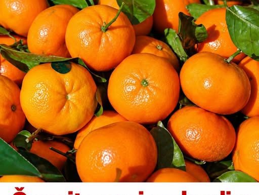 Čuvajte svoje zdravlje: EVO ZAŠTO TREBATE JESTI MANDARINE – Ovo je samo nekoliko dobrih razloga