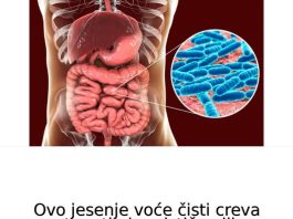 Ovo jesenje voće čisti creva poput metle i podstiče njihovo pražnjenje: Lekari otkrivaju na koji način ga treba jesti