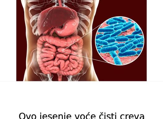 Ovo jesenje voće čisti creva poput metle i podstiče njihovo pražnjenje: Lekari otkrivaju na koji način ga treba jesti