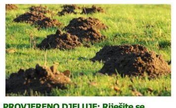 PROVJERENO DJELUJE: Riješite se KRTICA na potpuno prirodan način!