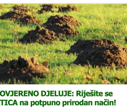 PROVJERENO DJELUJE: Riješite se KRTICA na potpuno prirodan način!