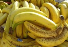 Banane nikako nemojte jesti ako imate neko od ovih oboljenja! Loše će uticati na vaše zdravlje