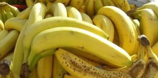 Banane nikako nemojte jesti ako imate neko od ovih oboljenja! Loše će uticati na vaše zdravlje