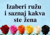 Izaberi ružu i saznaj kakva ste žena