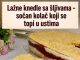 Lažne knedle sa šljivama – sočan kolač koji se topi u ustima