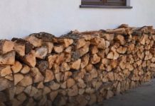 Držite drva uz zid kuće? Evo koji vam se problem može pojaviti