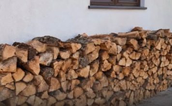 Držite drva uz zid kuće? Evo koji vam se problem može pojaviti
