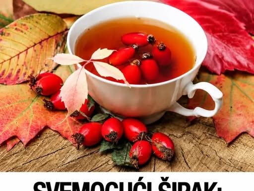 SVEMOGUĆI ŠIPAK: Kad vidite šta sve liječi, odmah ćete otići na pijacu da kupite ZA LIJEKA
