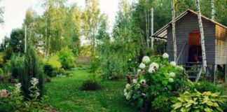 Šta neuredno dvorište govori o karakteru vlasnika: Jedna stvar posebno upada u oči