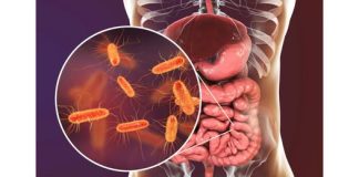 Pojedite ovu voćku svaki dan i creva će raditi kao sat: Tvrdi doktorka