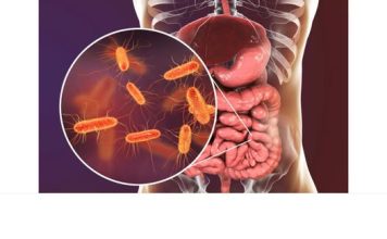 Pojedite ovu voćku svaki dan i creva će raditi kao sat: Tvrdi doktorka