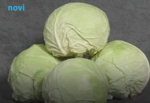 Ukiselite kupus za 2 dana: Brzi trik bez bureta