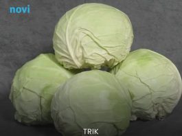 Ukiselite kupus za 2 dana: Brzi trik bez bureta