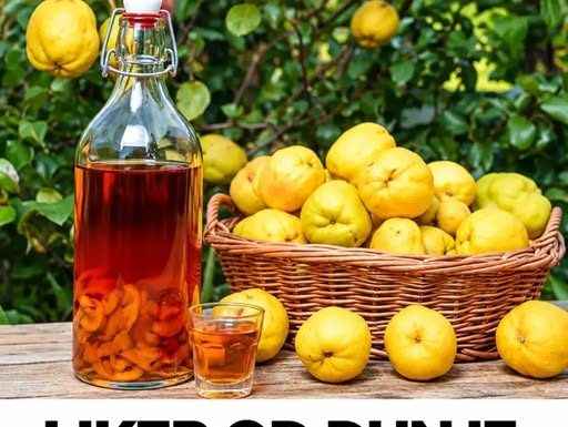 LIKER OD DUNJE: Dva recepta i zdrava varijanta bez šećera (sa medom)