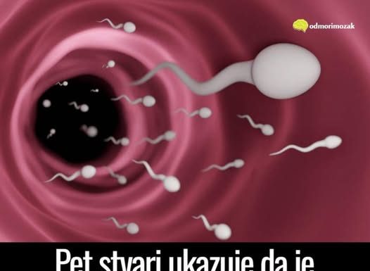 Pet stvari ukazuje da je muškarac neplodan – evo koje