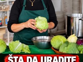 Šta da uradite ako je kupus previše kiseo: Postoji 4 uzroka koja lako možete da riješite