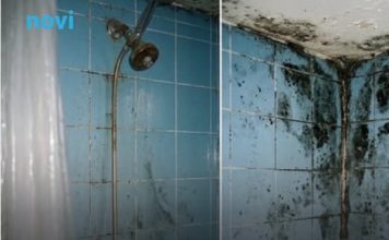 Stavite 1 stvar u ugao kupatila i vlaga nestaje: Nema više buđi, a miriše svježe sedmicama