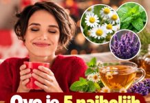 5 najboljih čajeva za ženske probleme: Ublažavaju menstrualne tegobe i popravljaju hormonsku sliku