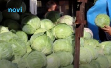 Evo koja sorta kupusa je najbolja za kiseljenje: Superiornija je od ostalih
