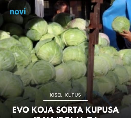 Evo koja sorta kupusa je najbolja za kiseljenje: Superiornija je od ostalih