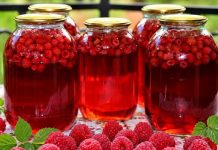 LIJEČI ŽENSKE TEGOBE, ČUVA SRCE: Prirodni lijek od maline – upute za pripremu