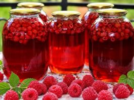 LIJEČI ŽENSKE TEGOBE, ČUVA SRCE: Prirodni lijek od maline – upute za pripremu