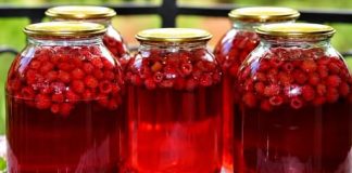 LIJEČI ŽENSKE TEGOBE, ČUVA SRCE: Prirodni lijek od maline – upute za pripremu