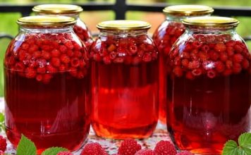 LIJEČI ŽENSKE TEGOBE, ČUVA SRCE: Prirodni lijek od maline – upute za pripremu