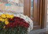 U oktobru posadite ovaj cvijet ispred kuće: Vjerovanje kaže da donosi veliku sreću cijeloj porodici
