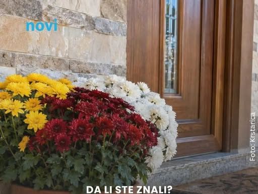 U oktobru posadite ovaj cvijet ispred kuće: Vjerovanje kaže da donosi veliku sreću cijeloj porodici